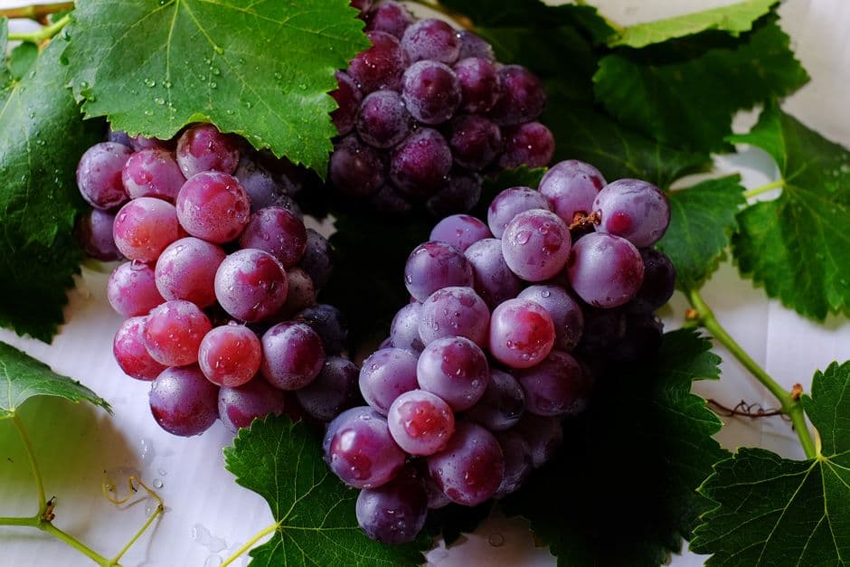 Sagra: Sagra dell'Uva Fragola di Roccagorga, Roccagorga