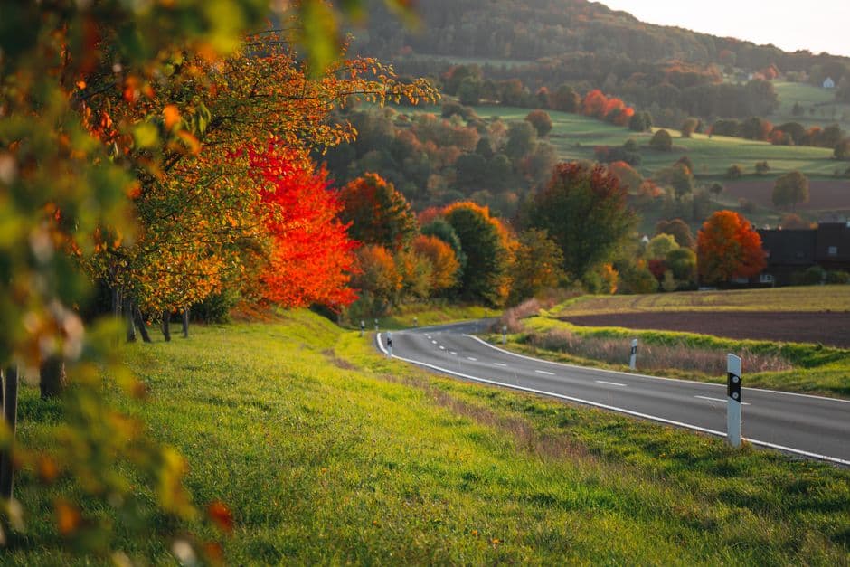 Fiera: Fiera d'Autunno, Paderno Dugnano