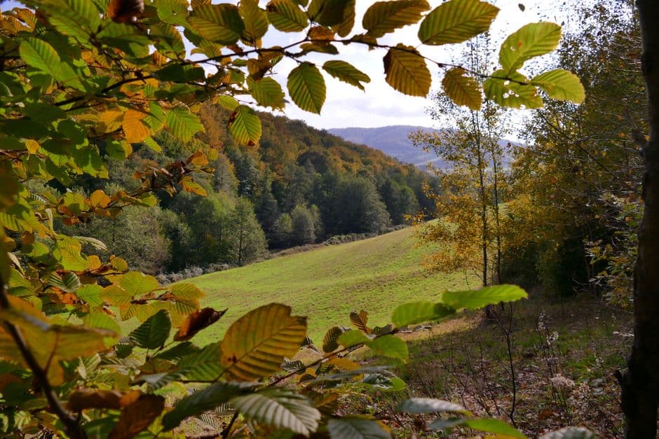 Fiera: Fiera di Ottobre, Livigno