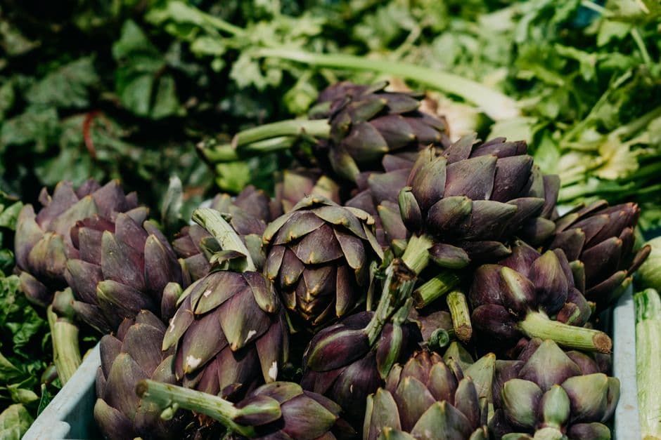 Sagra: Sagra del Carciofo di Uri, Uri