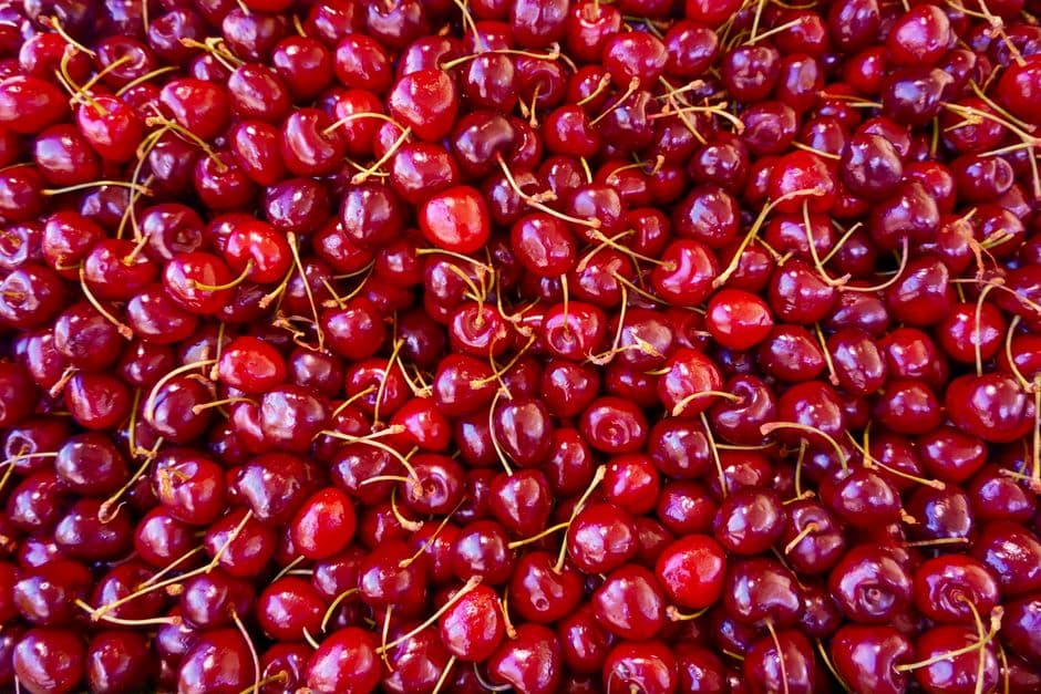 Sagra: Sagra della Ciliegia Ferrovia, Turi