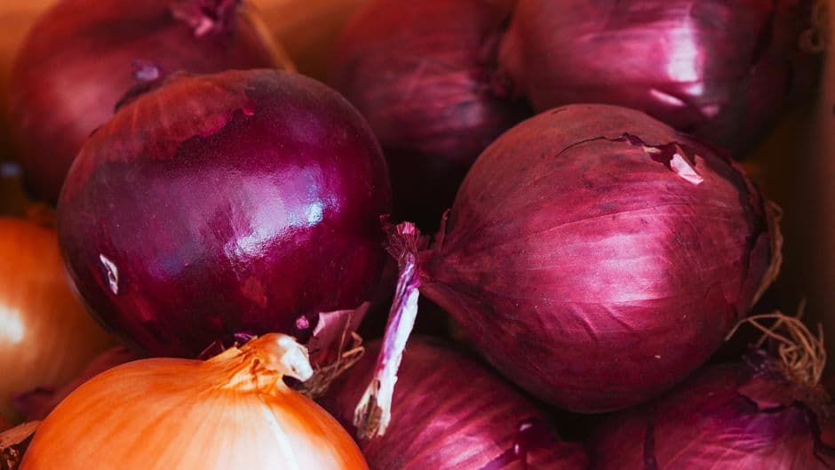 Sagra: Sagra della Cipolla di Fara Filiorum Petri, Fara Filiorum Petri