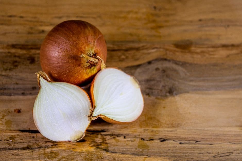 Sagra: Sagra della Cipolla Rossa di Breme, Breme