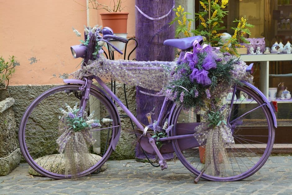 Fiera: Fiori in Farfa, Fara in Sabina