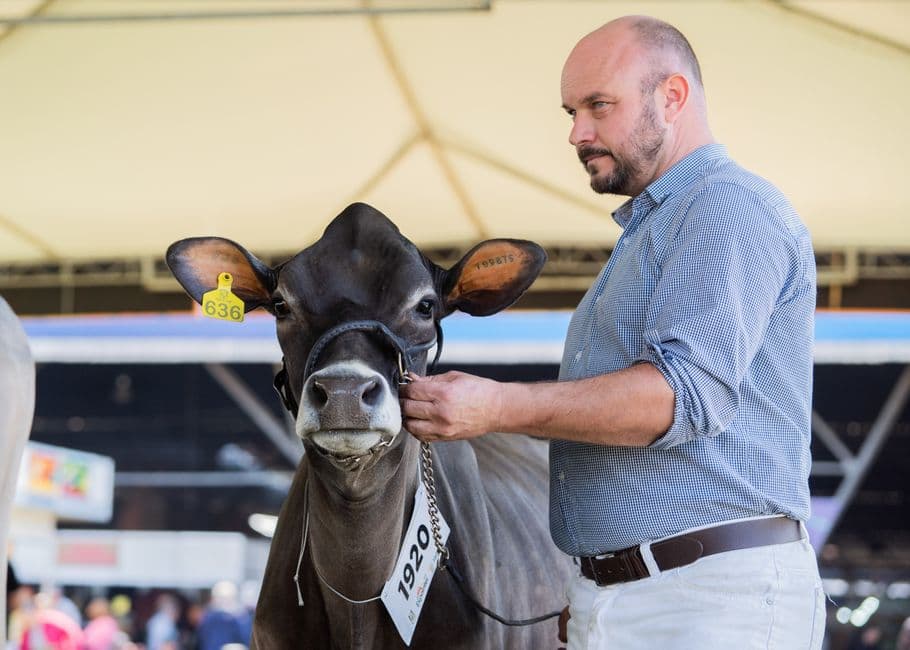 Sagra: Mais e Cavalli, Vigone