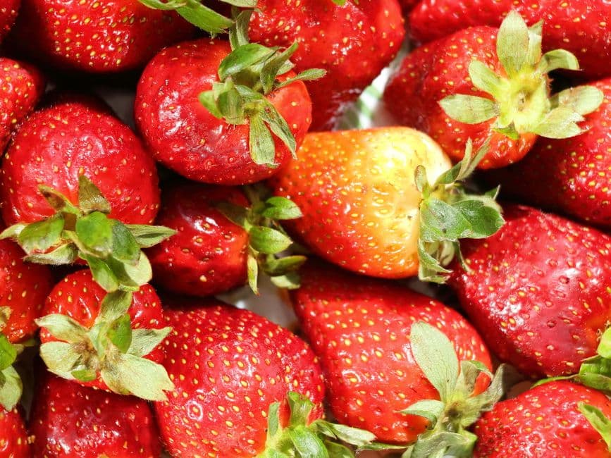 Sagra: Sagra della Fragola di Maletto, Maletto