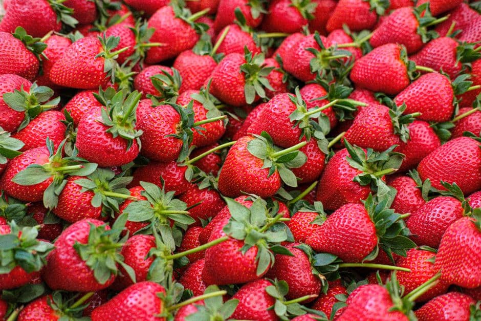 Fiera: Fragola Expo Basilicata, Policoro