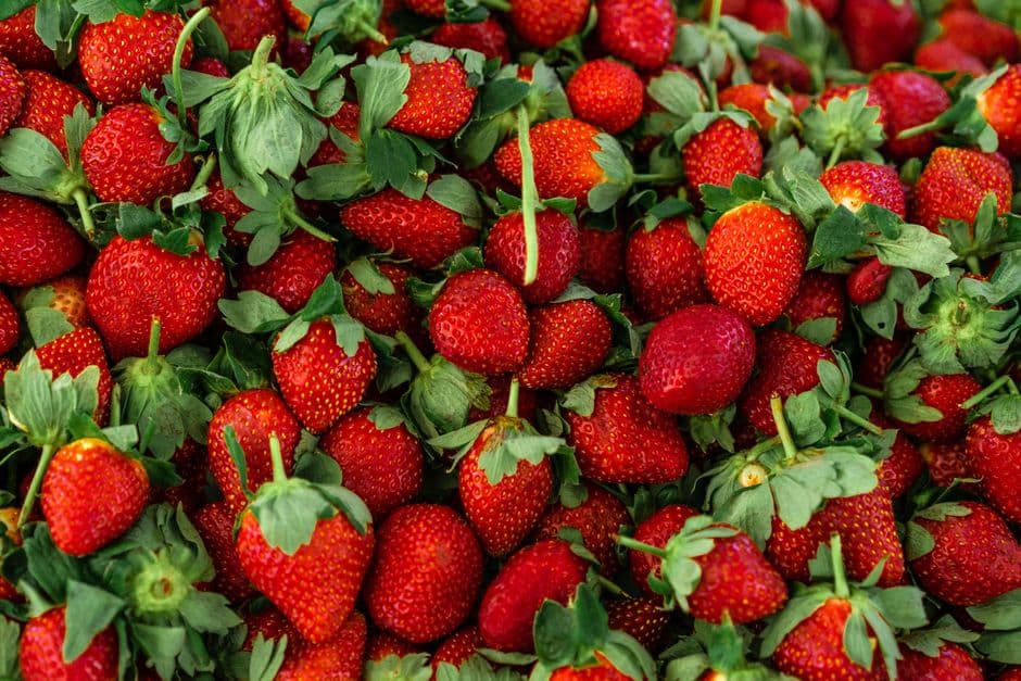 Sagra: Sagra del Vino e delle Fragole, Faedis