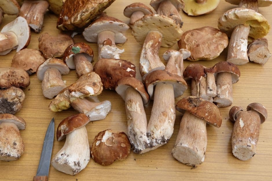 Sagra: Sagra del Fungo Porcino di Vallerano, Vallerano
