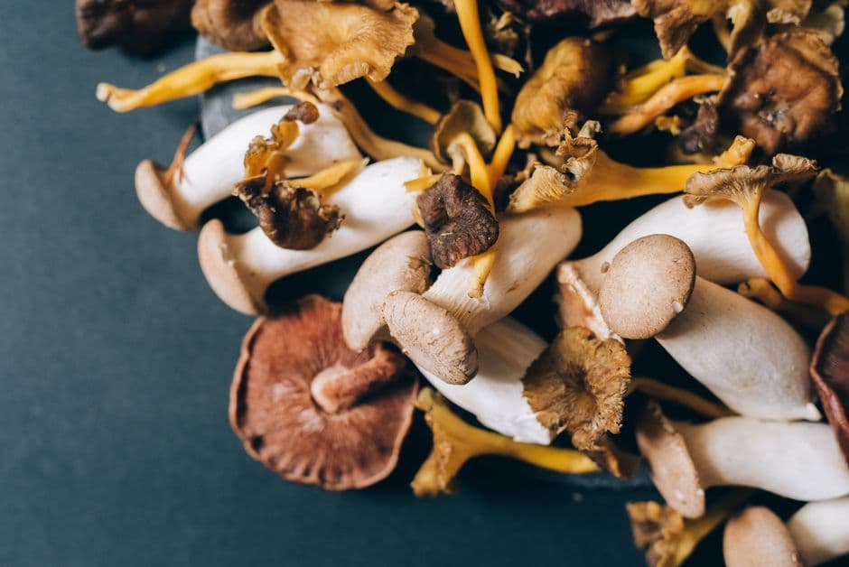 Sagra: Funghi Fest di Castelbuono, Castelbuono