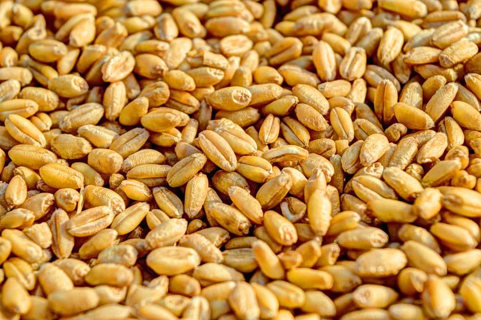 Festa: Sagra del Grano e Festa di Sant'Anna, Jelsi