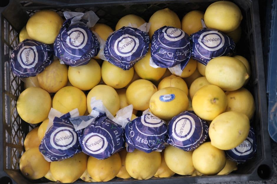 Sagra: Sagra del Limone di Massa Lubrense, Massa Lubrense