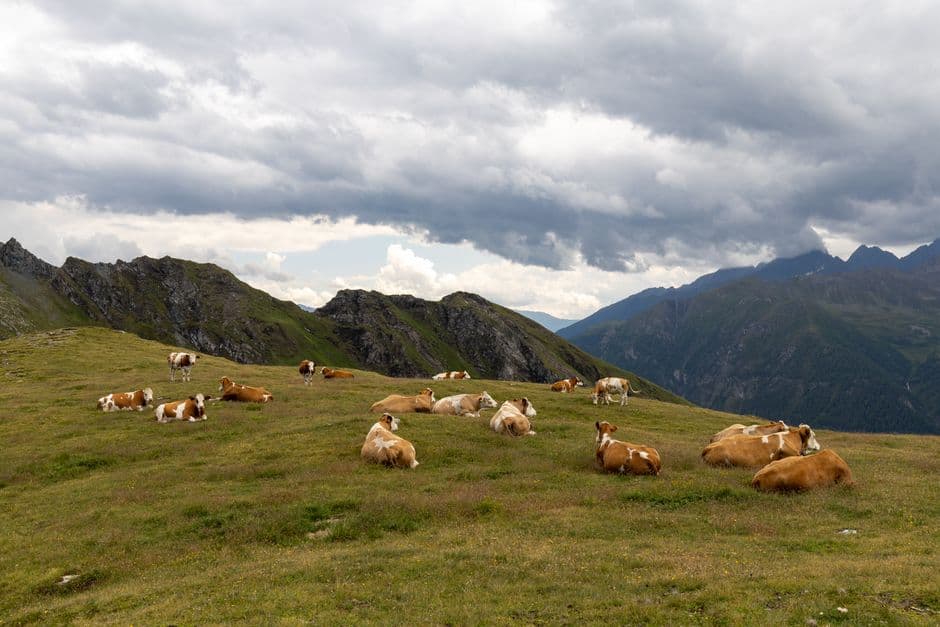 Festa: Sagra della Croce di Pozza e festa in malga, Sarentino