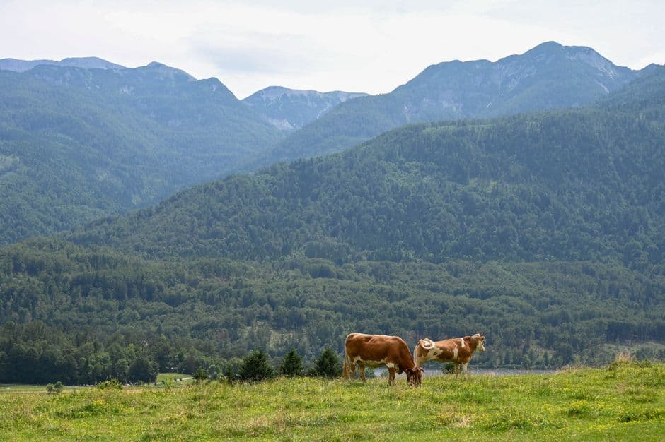 Festa: Festa di fine stagione "Pfiat Gott" sulla malga Wasserfalleralm, Racines