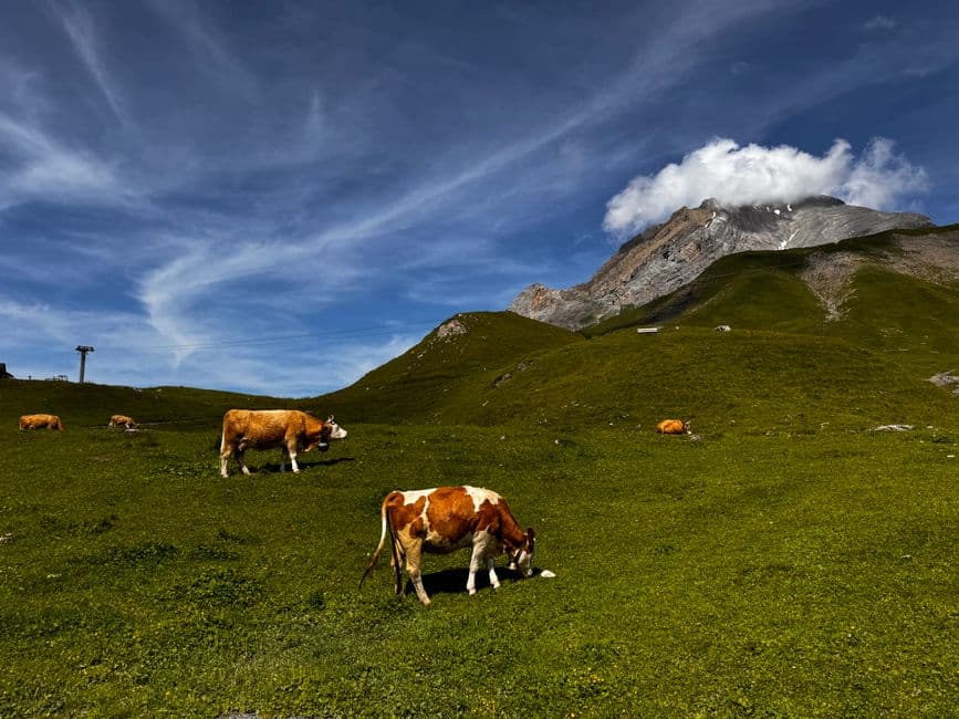 Sagra: Transumanza a Riscone, Brunico