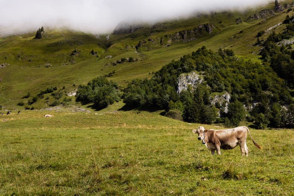 Sagra: settacolo autunno: Almsound alla Malga Putz, Villabassa