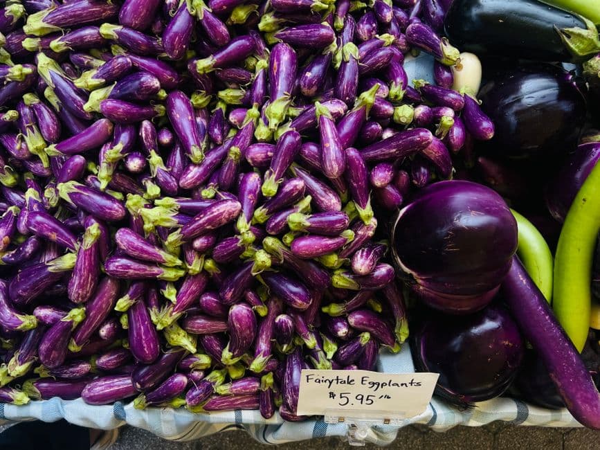 Sagra: Il Bianco e la Rossa, Rotonda