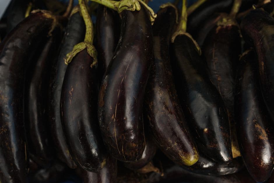 Sagra: Ecosagra delle Melanzane Ripiene, Finale Ligure