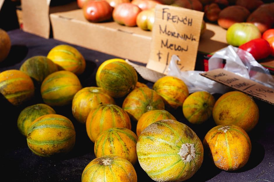 Sagra: Festa del Melone Mantovano, Sermide e Felonica