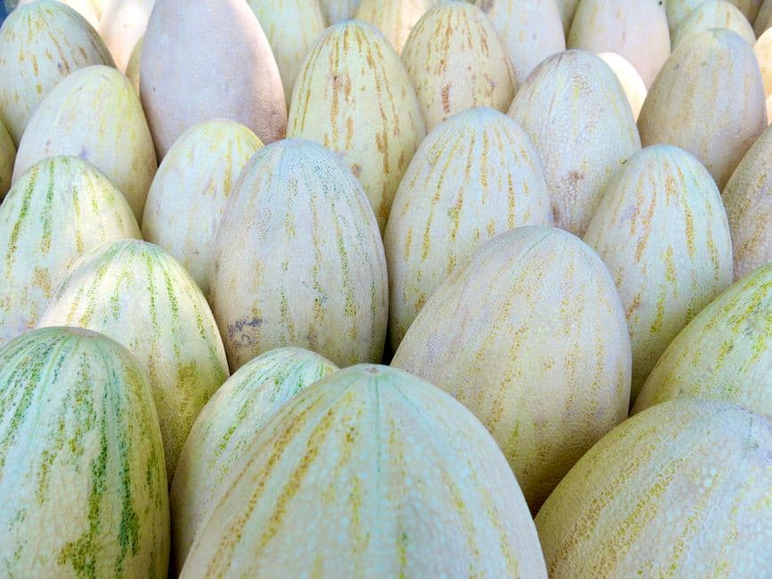 Sagra: Sagra del Melone e del Grano, Craco