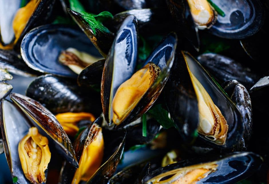 Sagra: Mare Muscolo e Regina Acciuga, Cadimare