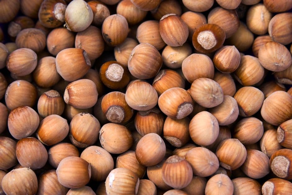 Fiera: Fiera Città della Nocciola, Castellero