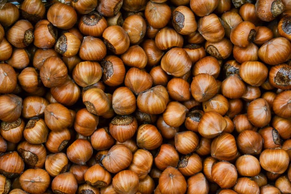 Sagra: Sagra della Nocciola di Giffoni Valle Piana, Giffoni Valle Piana