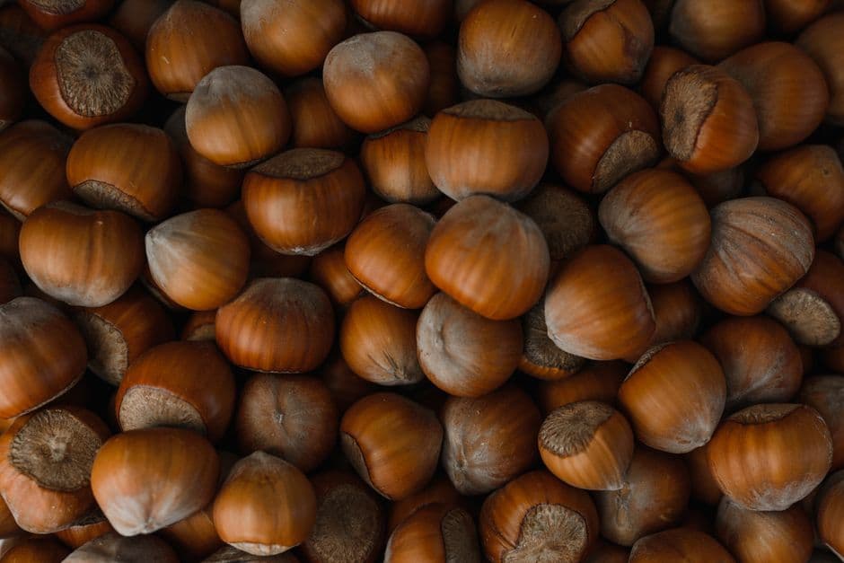 Sagra: Sagra della Nocciola di Caprarola, Caprarola