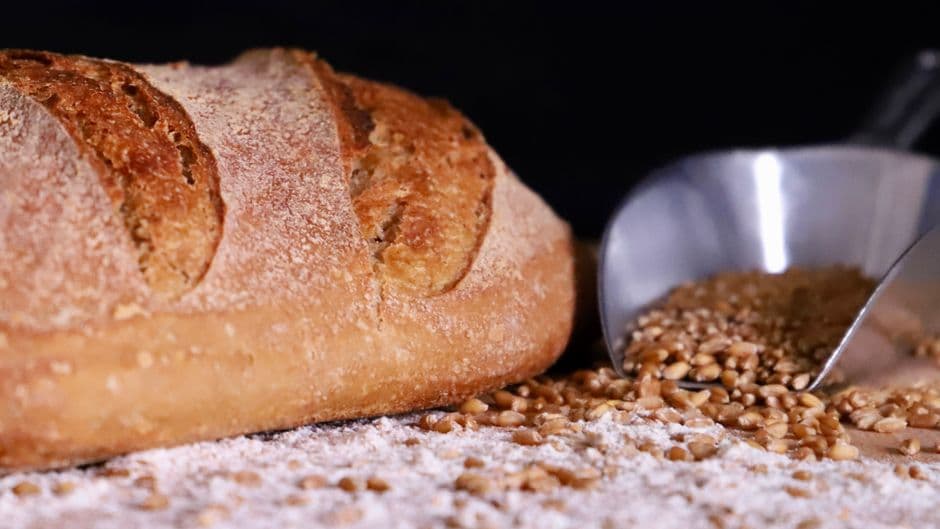 Festa: Festa del Pane e della Salicornia, Cagnano Varano
