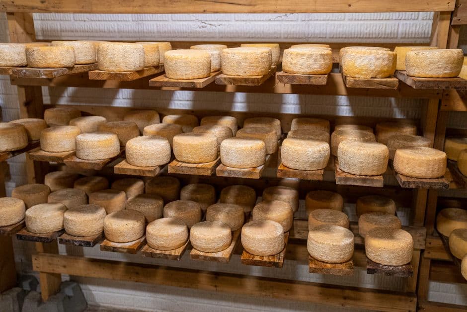 Sagra: Festa del Formaggio Pecorino, Apiro