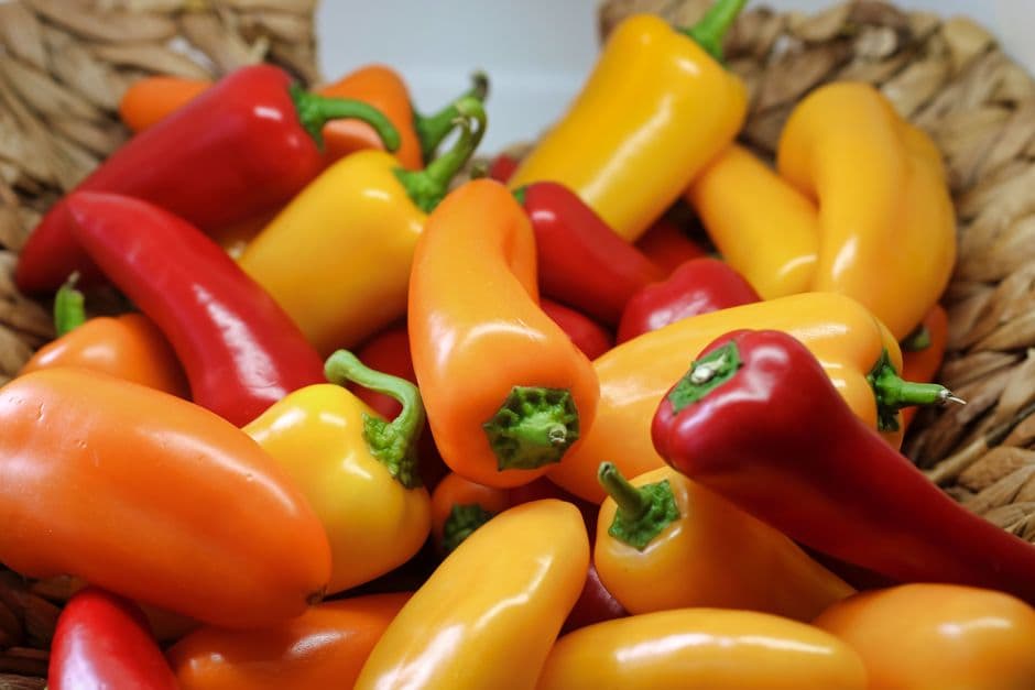 Sagra: Sagra del Cavatieddu e del Peperone Rosso di Laino, Laino Borgo