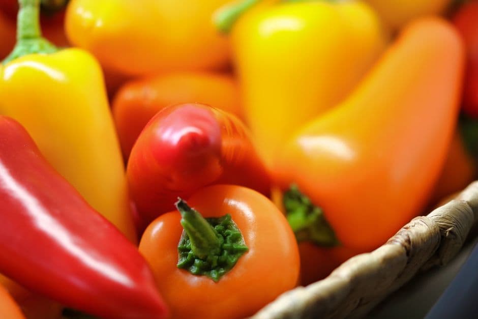 Sagra: Sagra del Peperone di Banzi, Banzi