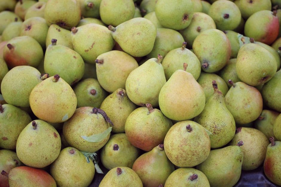 Sagra: Sagra dei Peri di Conscio, Casale sul Sile