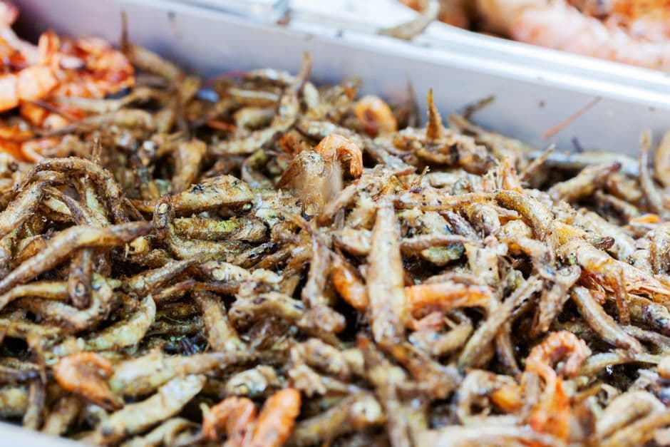 Sagra: Festa Avisina e Sagra del Pesce, Castelletto Monferrato
