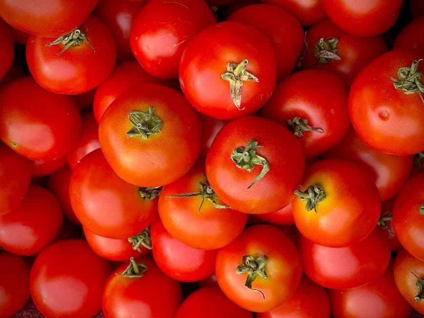 Sagra: Sagra del Pomodoro di Pachino, Pachino