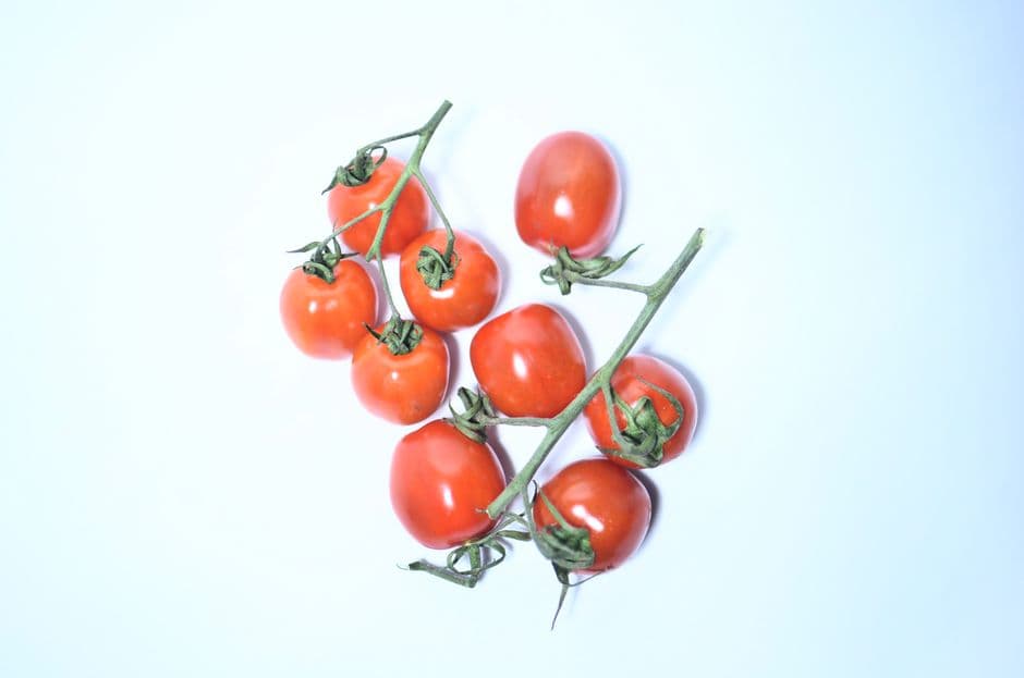 Sagra: Sagra del Pomodoro di Borgoricco, Borgoricco