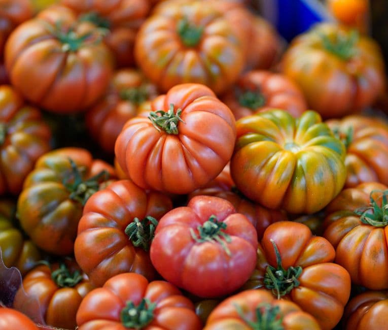 Sagra: Festa del Pomodoro, Montagano
