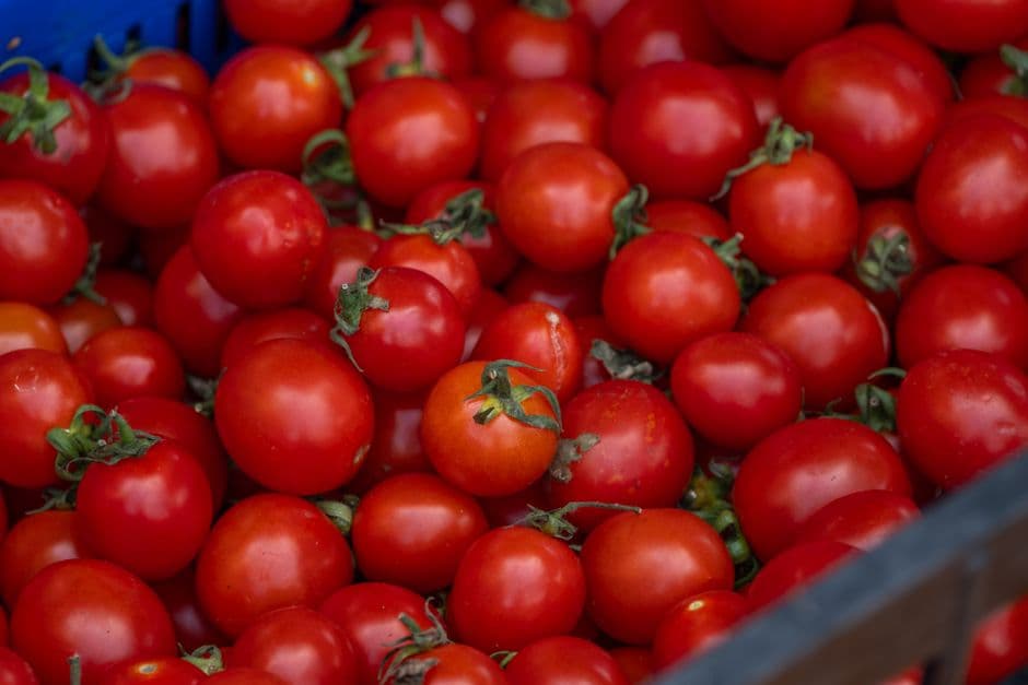 Sagra: Sagra del Pomodoro di Anguillara Sabazia, Anguillara Sabazia