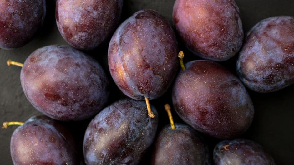 Sagra: Antica Sagra del Susino, Bovolone