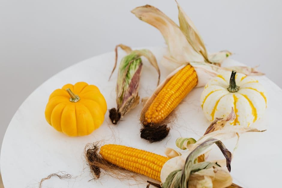 Sagra: Sagra della Zucca Bertagnina, Dorno
