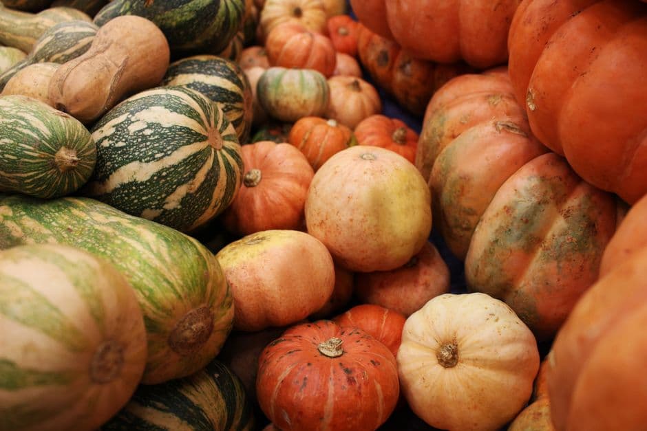 Festa: Festa della Zucca di Cividale, Cividale del Friuli