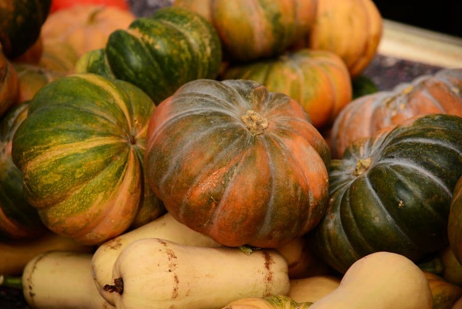Festa: Carnevale della Zucca, Moneglia