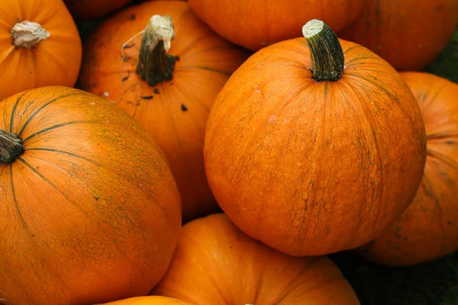 Sagra: Sagra della Zucca di Fonte Meravigliosa, Roma