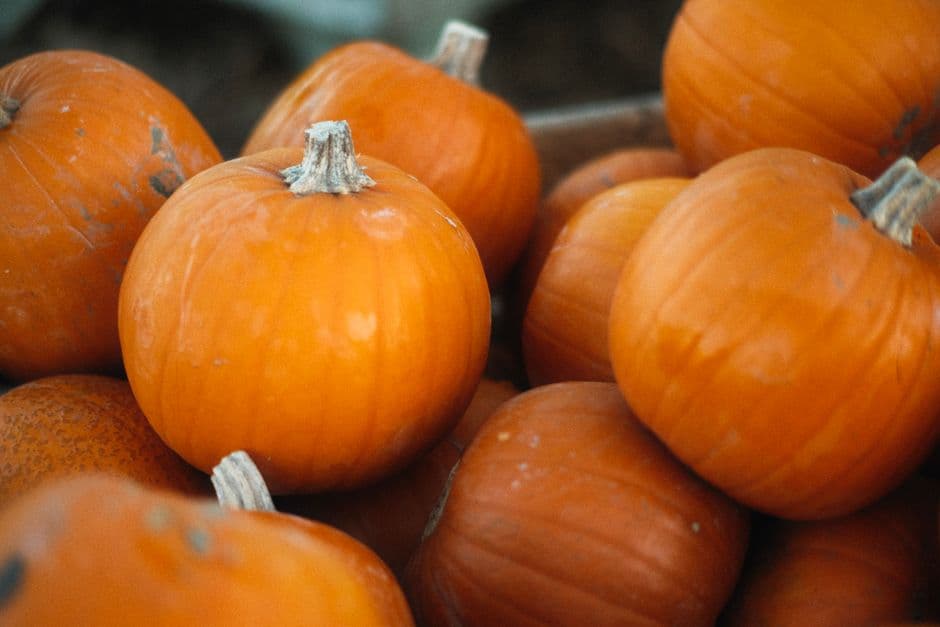 Sagra: Sagra della Zucca di Brandizzo, Brandizzo