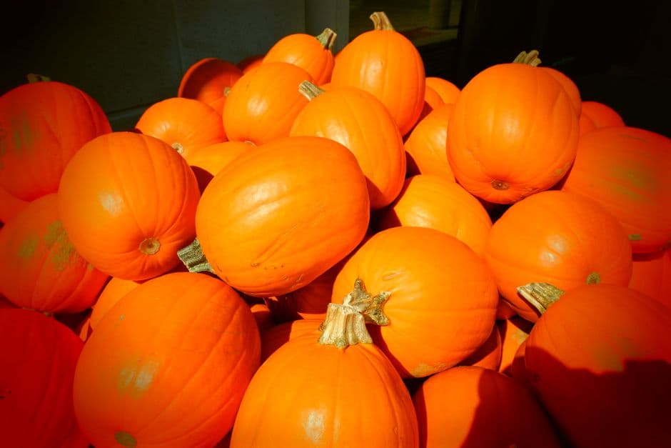 Fiera: Fiera della Zucca, Zuccarello