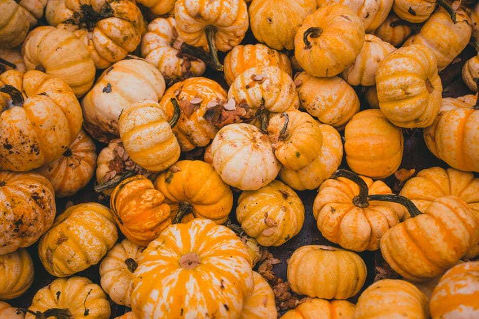 Sagra: Sale in Zucca - Festival della Tradizione Locale, Sale Marasino