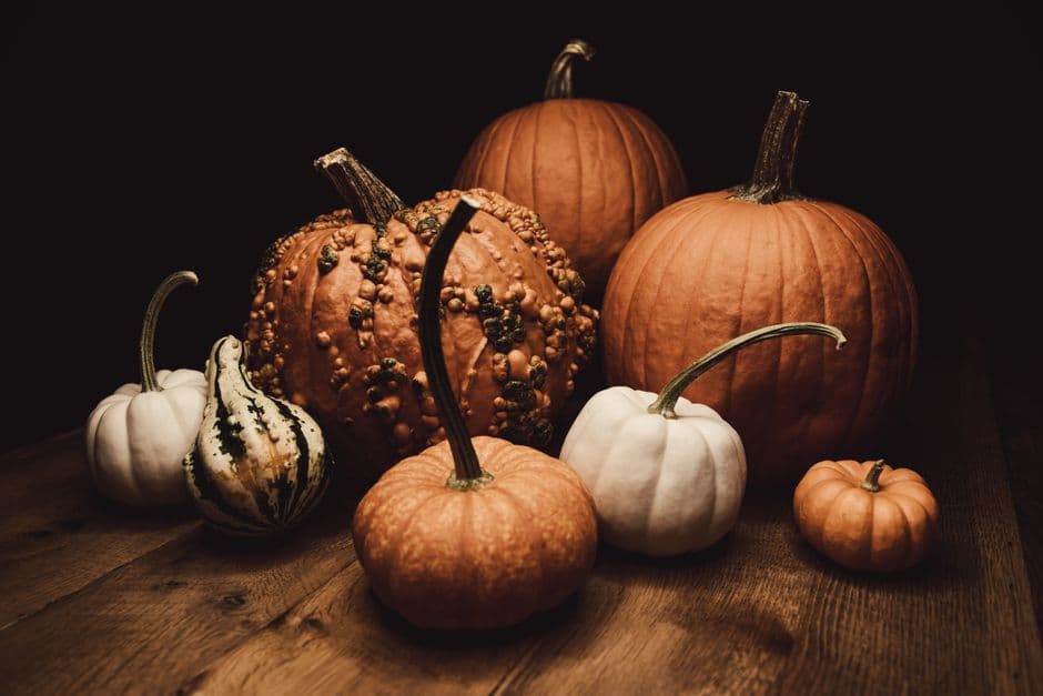Sagra: Sagra della Zucca di Osmate, Cadrezzate con Osmate
