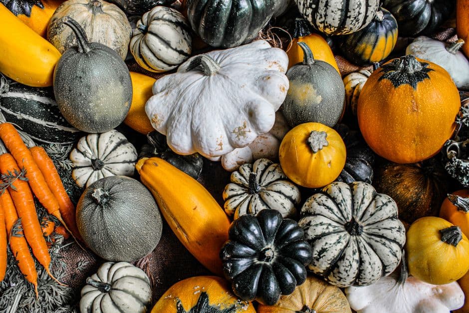 Fiera: Fiera della Zucca di Piea, Piea