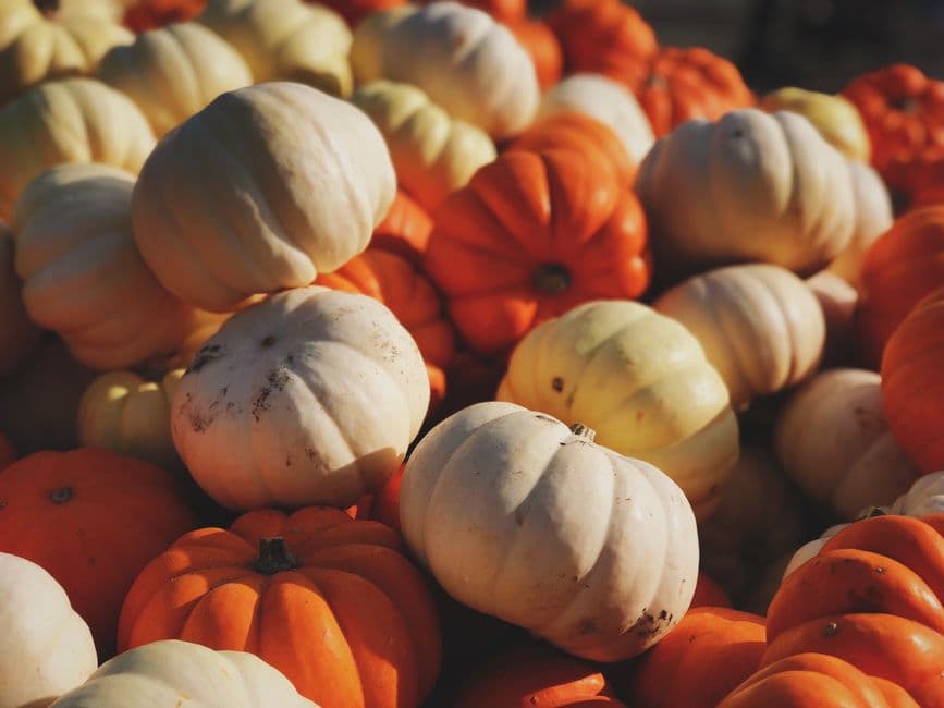 Festa: Zuccaland, Festival d'Autunno di Villafranca, Villafranca di Verona