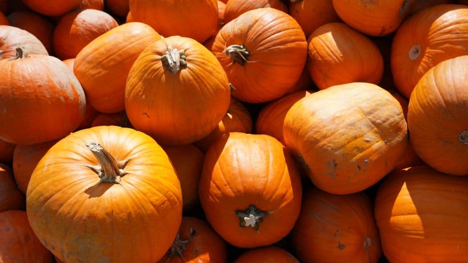 Sagra: Verrès è la Zucca
